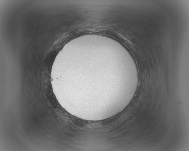 X0000080701447200612150824