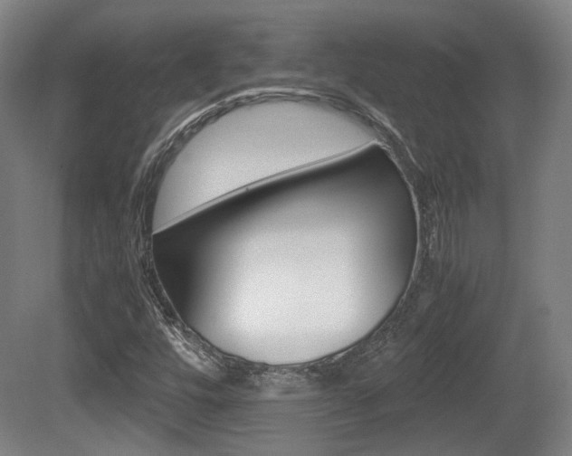 X0000080701448200612150824