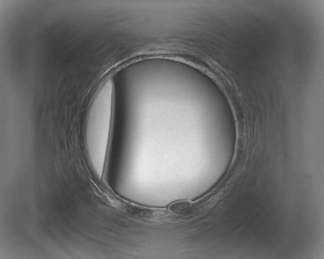 X0000080701449200612150824