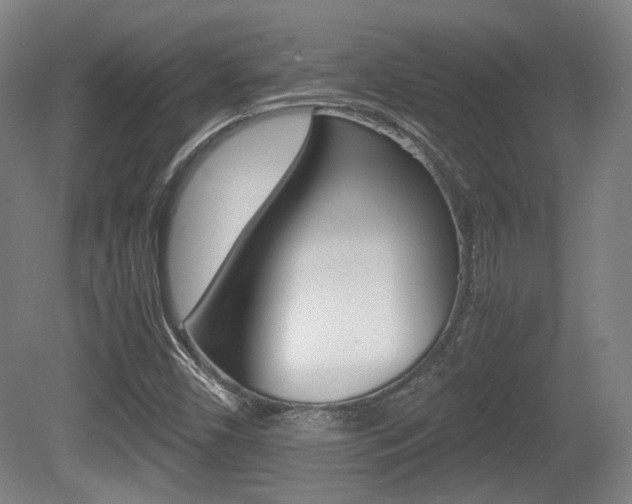 X0000080701450200612150824