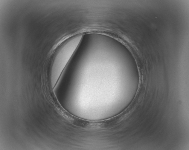 X0000080701453200612150824