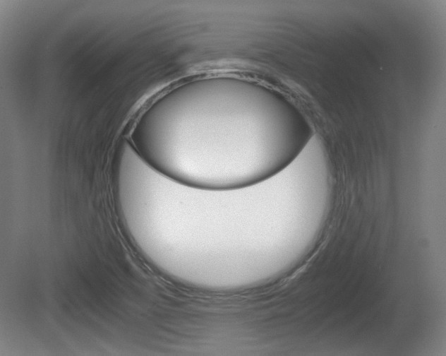 X0000080701457200612150824
