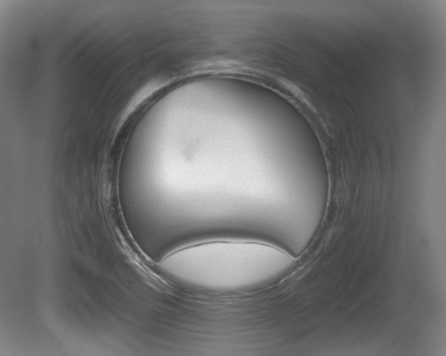 X0000080701458200612150824