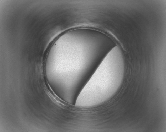 X0000080701460200612150824