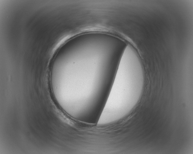 X0000080701463200612150824