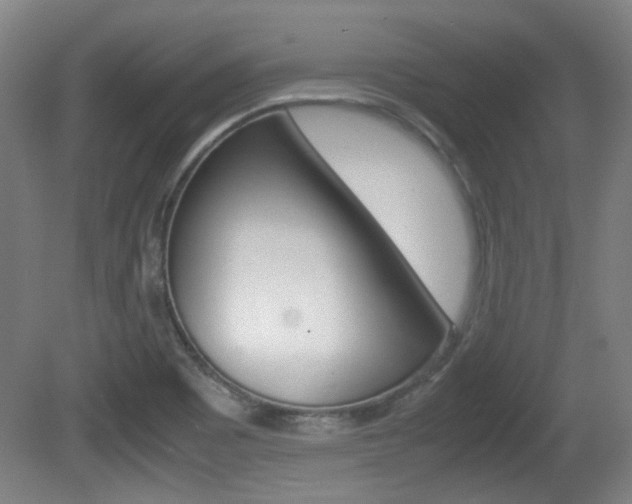 X0000080701465200612150824