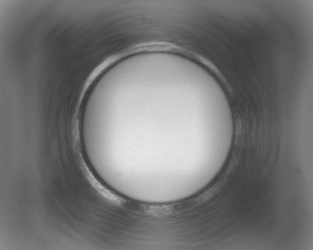 X0000080701466200612150824