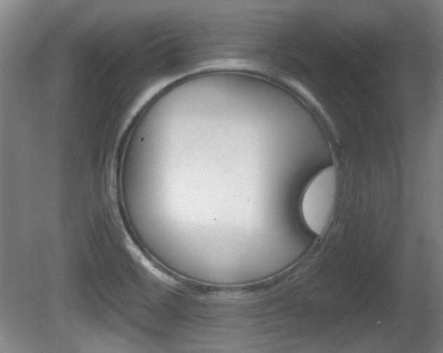 X0000080701468200612150824