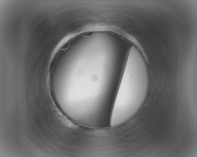 X0000080701472200612150824