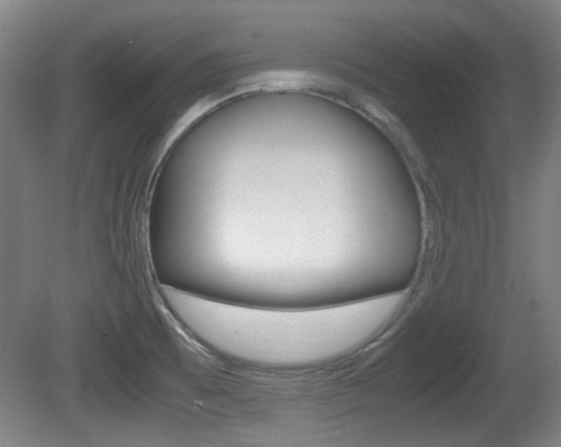 X0000080701473200612150824