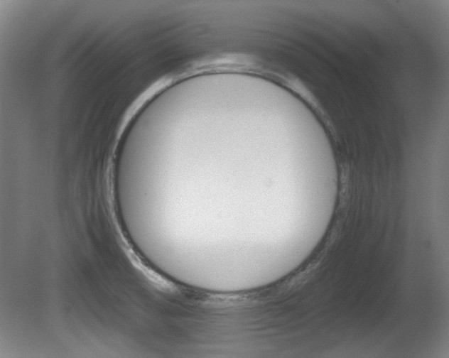 X0000080701474200612150824