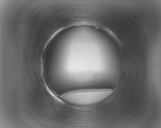 X0000080701476200612150824