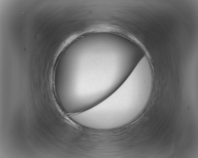 X0000080701477200612150824