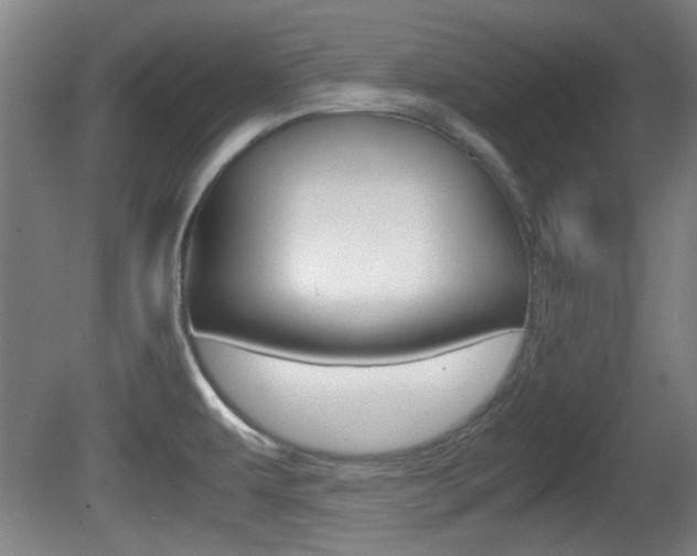 X0000080701479200612150824