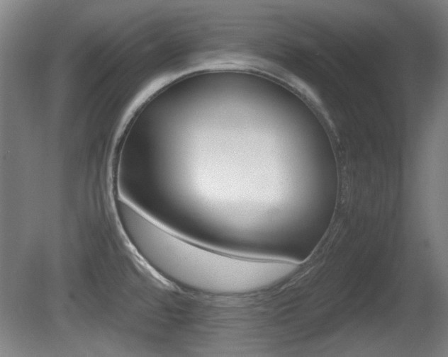 X0000080701480200612150824