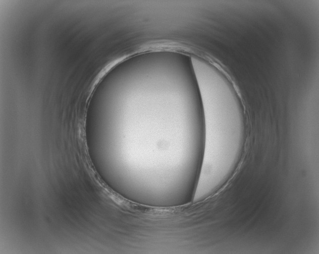 X0000080701481200612150823