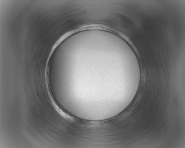 X0000080701482200612150823