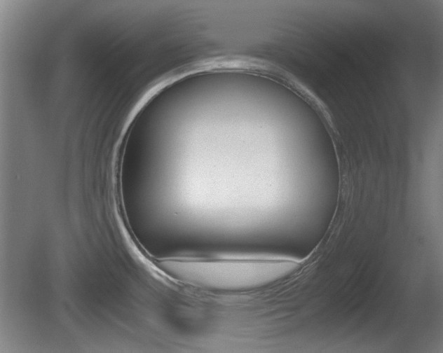 X0000080701483200612150823