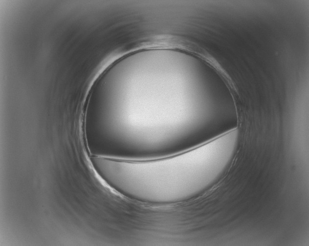 X0000080701484200612150823