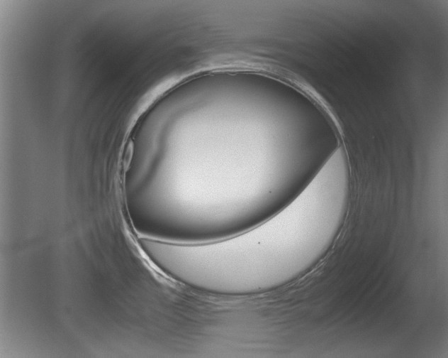 X0000080701485200612150823