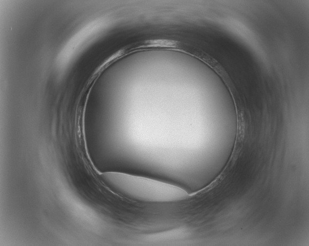 X0000080701487200612150823