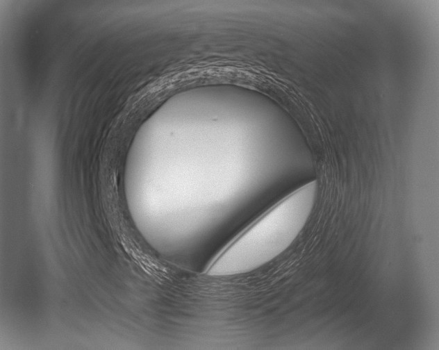 X0000080701489200612150823