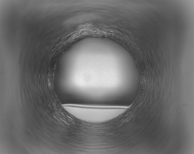 X0000080701490200612150823