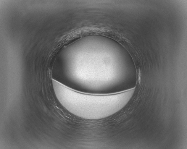 X0000080701492200612150823