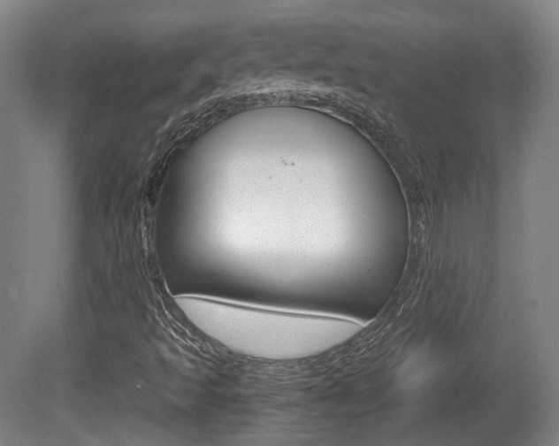 X0000080701493200612150823
