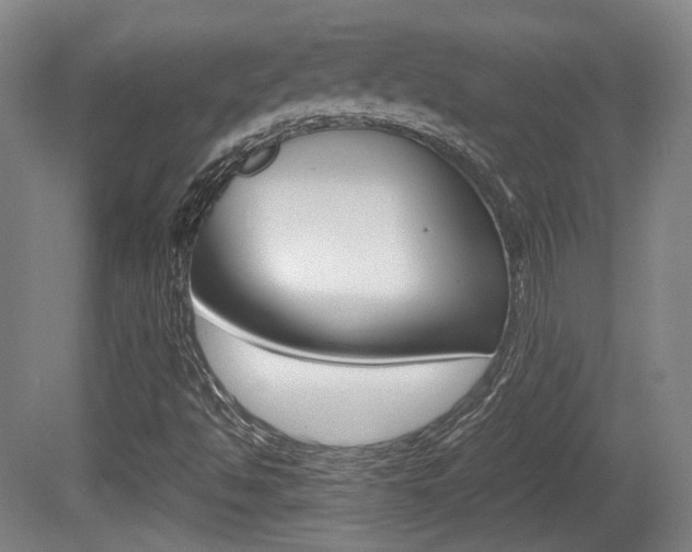 X0000080701494200612150823