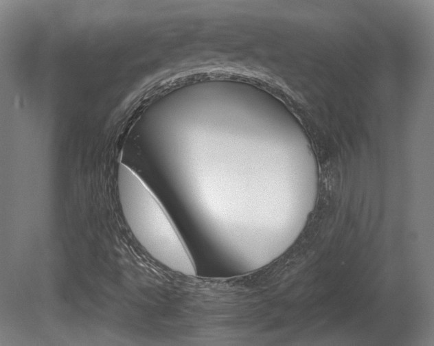 X0000080701495200612150823
