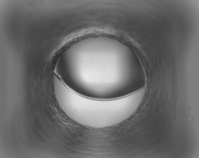 X0000080701496200612150823