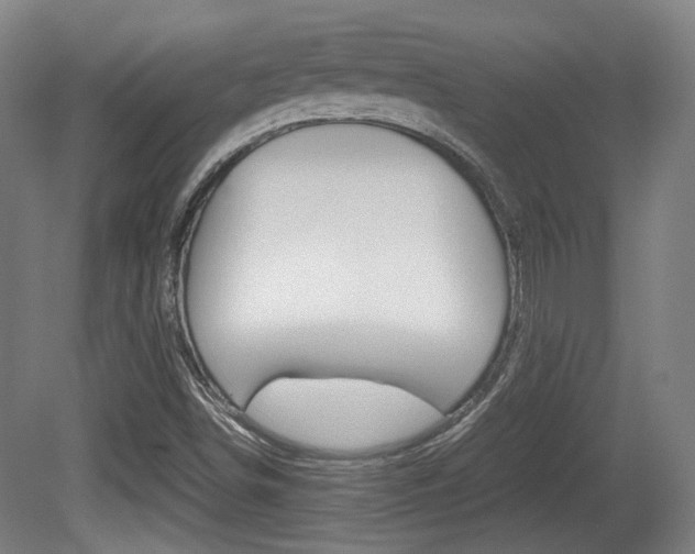 X0000080701498200612150823