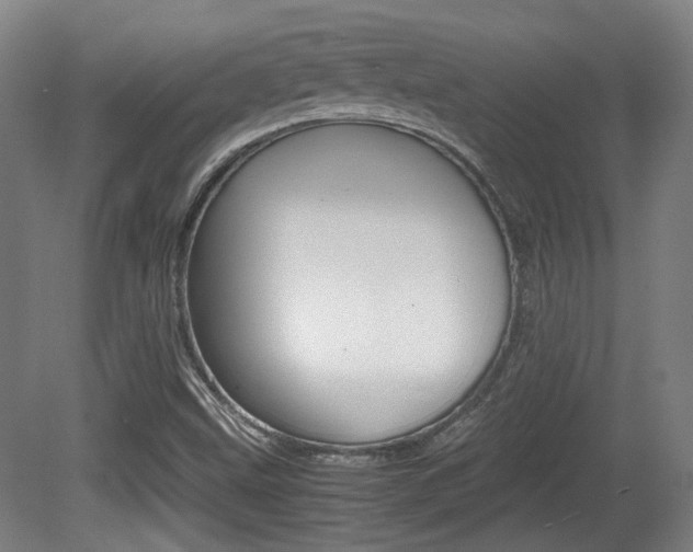 X0000080701499200612150823