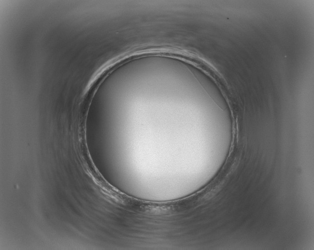X0000080701501200612150823