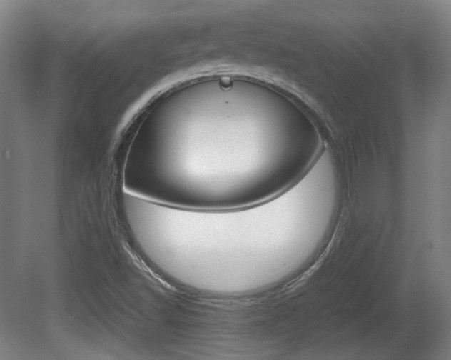X0000080701502200612150823