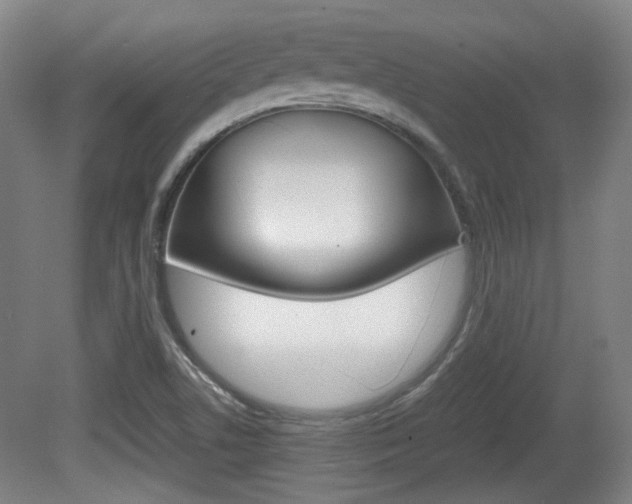 X0000080701506200612150823