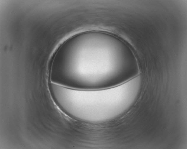 X0000080701508200612150823