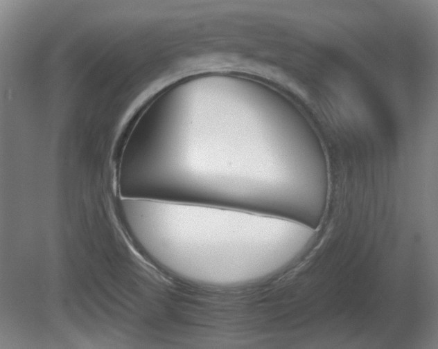X0000080701509200612150823