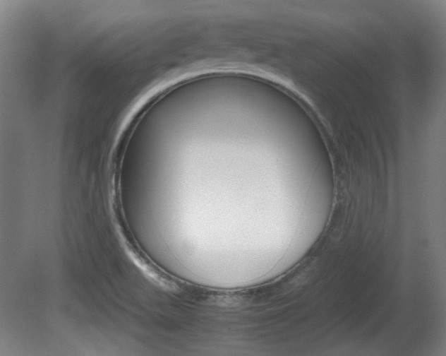 X0000080701511200612150823