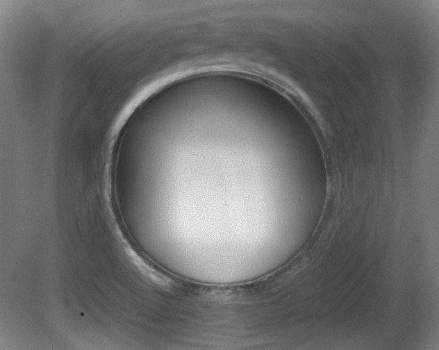 X0000080701512200612150823