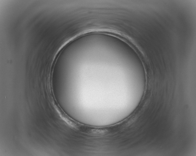 X0000080701513200612150823