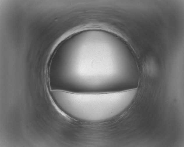 X0000080701519200612150823