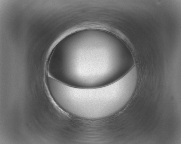 X0000080701520200612150823