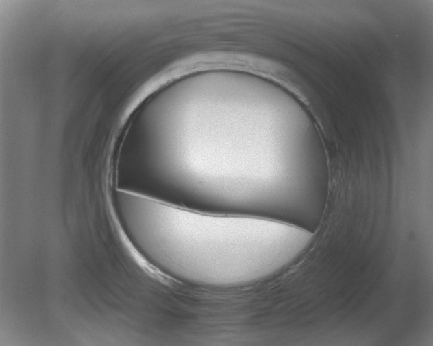 X0000080701523200612150823