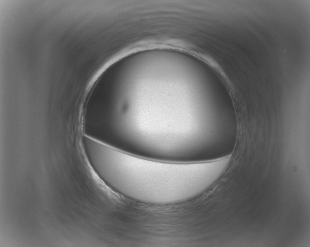 X0000080701524200612150823