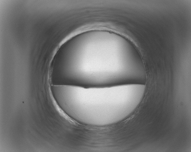 X0000080701526200612150823
