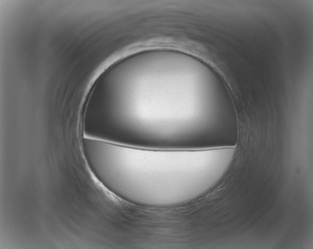 X0000080701527200612150823