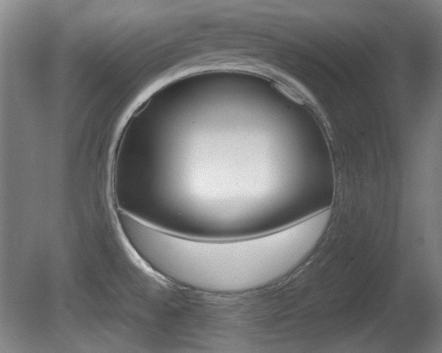 X0000080701528200612150823