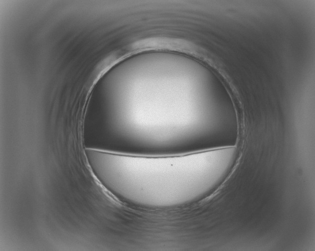 X0000080701529200612150823